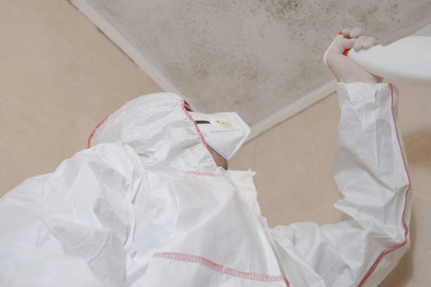 Best Mold Testing  in Mount Vernon, IL
